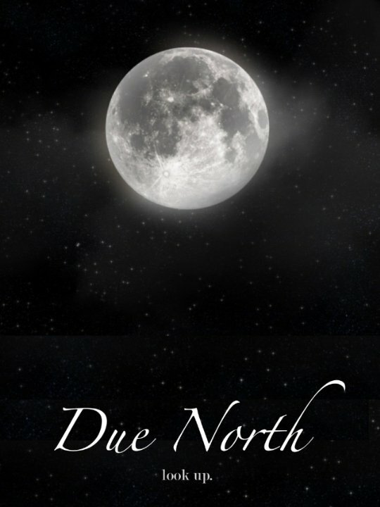 Due North (2014)